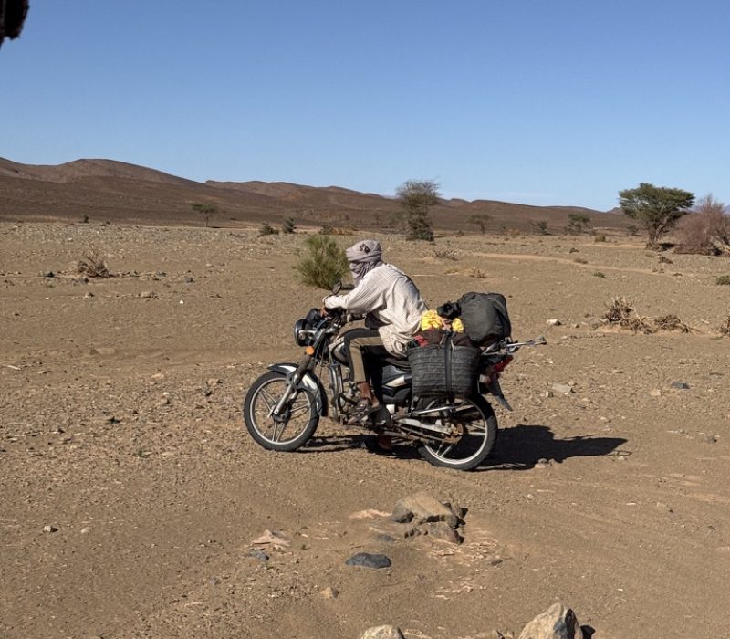 97395466-7863-4541-B4D8-32090830D99E_1_105_c