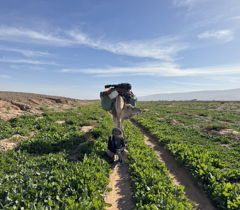 993D545A-4772-4E6A-A2C4-1DF65625333E_1_102_o