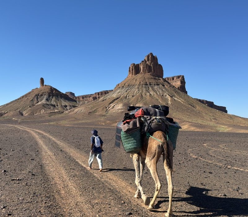 A187DFD9-731F-4F31-B541-483DBA3E8BE1_1_105_c