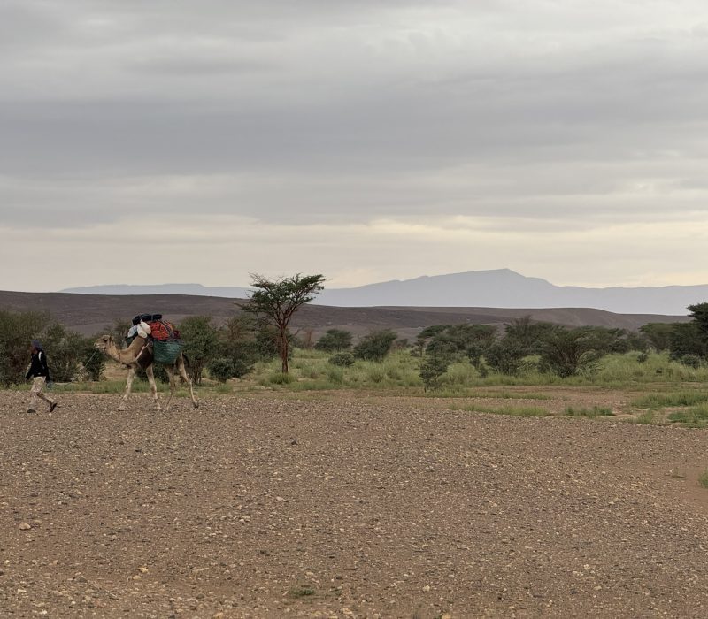 AAE554E6-DAC0-4226-9E63-7F13D1B5302E_1_102_o