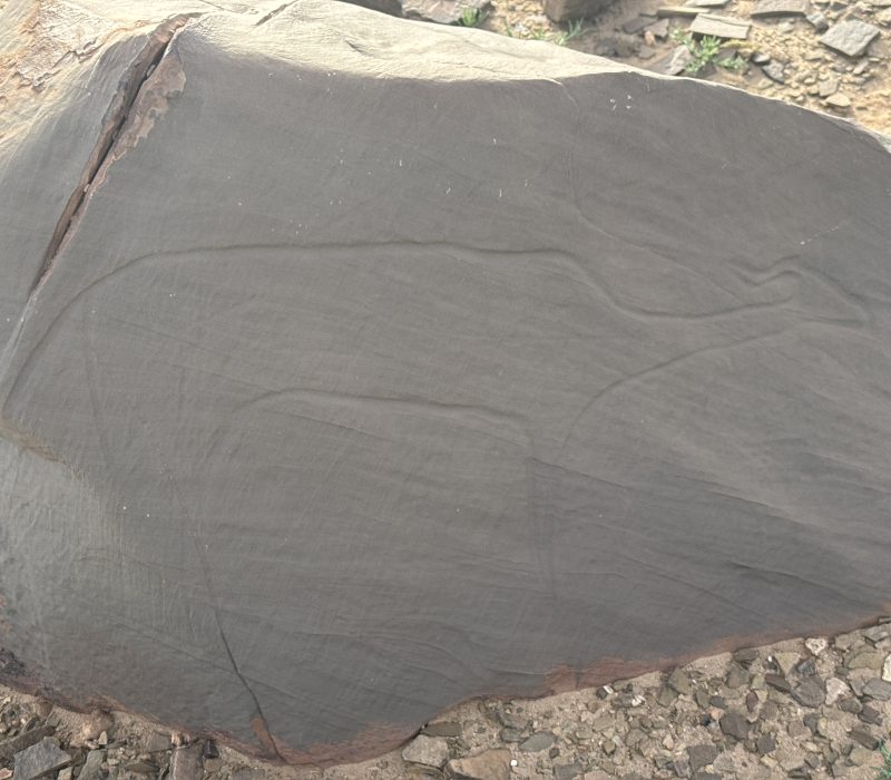 B0911ED0-BFB1-4434-A364-ED26AC0D1D3D_1_102_o