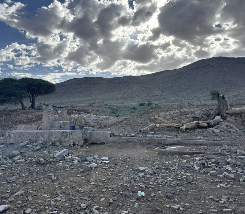 B27FE388-A85A-4F08-B749-3D2755A96ABF_1_102_o