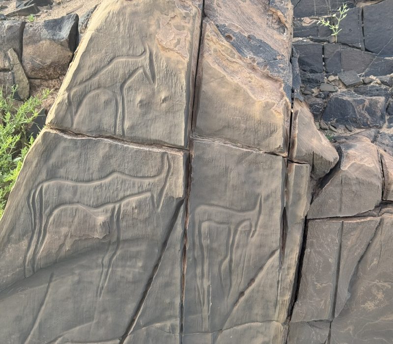 B7453BCD-D51A-44D7-9677-9BC9BD1B623A_1_102_o