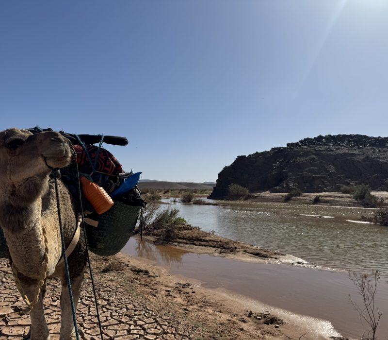 B9ED24C5-C362-455D-A2B6-A91064AB71FB_1_102_o