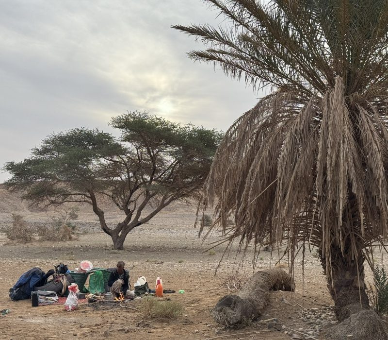 BBD8BBC9-A816-4BCB-98CD-A656A3C5D316_1_102_o