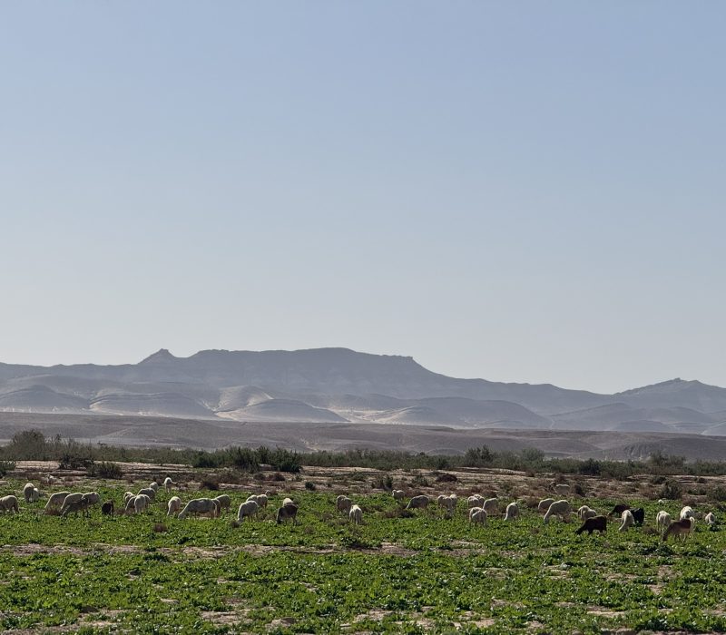 BD0E91D5-61C2-4CCC-9BE9-598CC2E77186_1_102_o