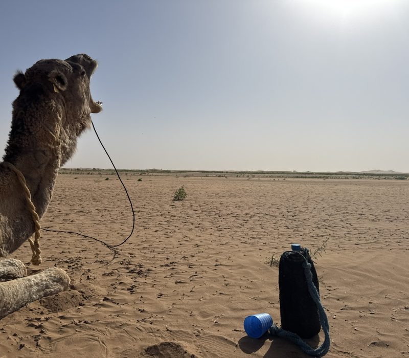 BE7FB8F2-5E97-4A25-8AF4-150428E79B76_1_102_o