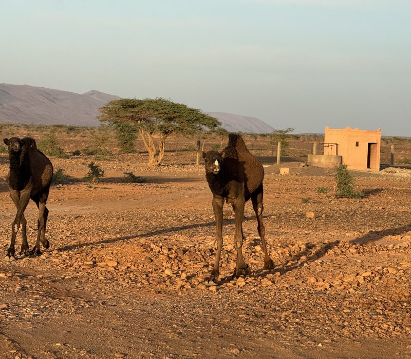 BEB2E55F-249B-4428-99EF-994D634A3E9F_1_102_o