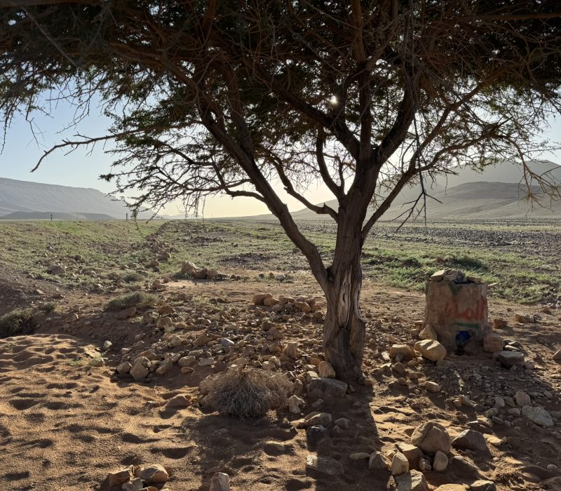 C2247925-316D-413F-91F1-E53F2C8446DA_1_102_o