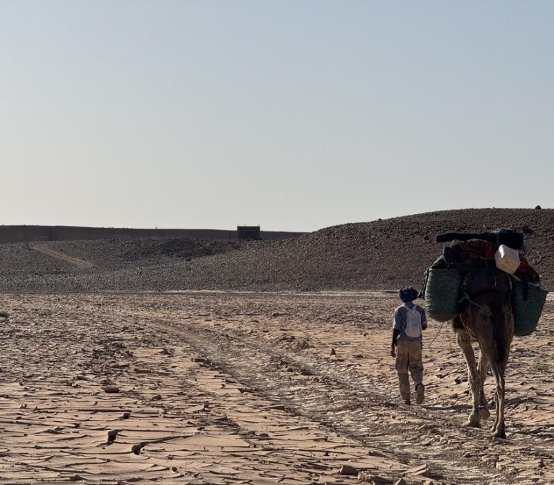 C402911D-AF8F-4D0F-8869-D2B4A593FD44_1_105_c