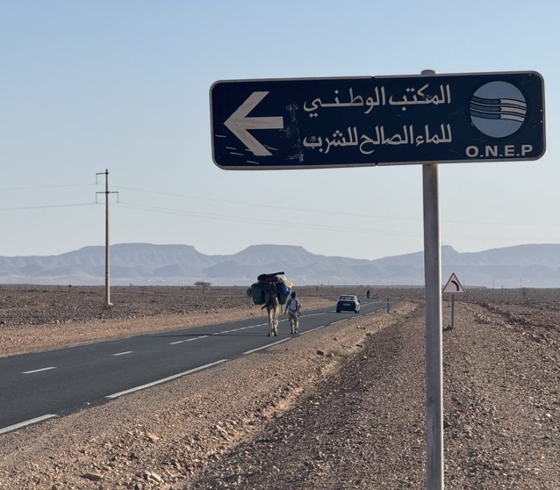 C6AF1BD9-674C-4B24-BD88-70104715BD8B_1_105_c