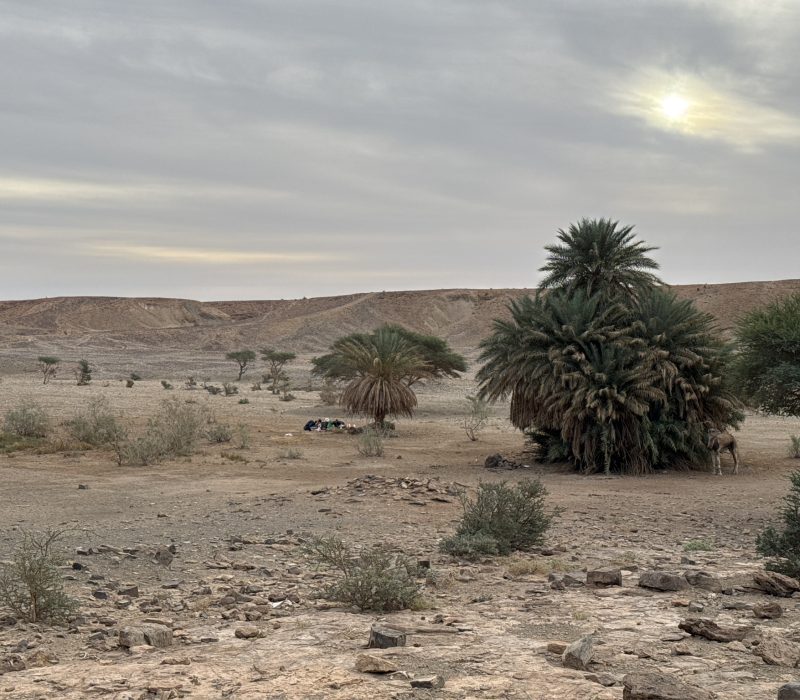 CC70A59D-EC91-45AC-B030-D7A29B7820CF_1_102_o