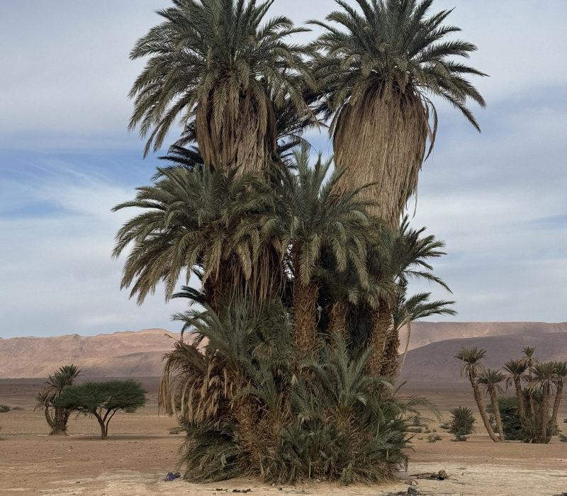 CE413860-103E-42AA-B0C9-0101CB4F6C1A_1_102_o