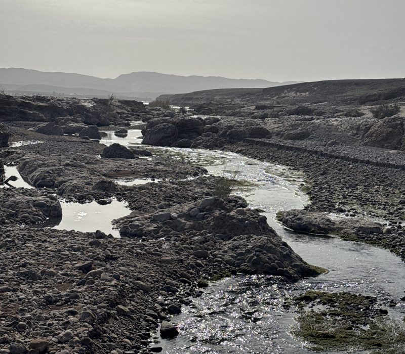 D36E06CB-AECF-47E0-A366-A942A0808869_1_102_o