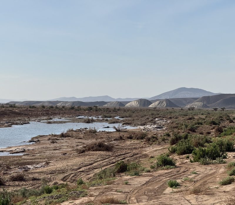 D65FE204-6FCC-47F9-B160-6A4847BF6CF2_1_102_o