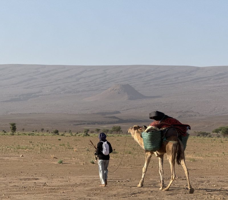 D85203EA-D8E5-4301-ADE5-54A07CC699A3_1_105_c