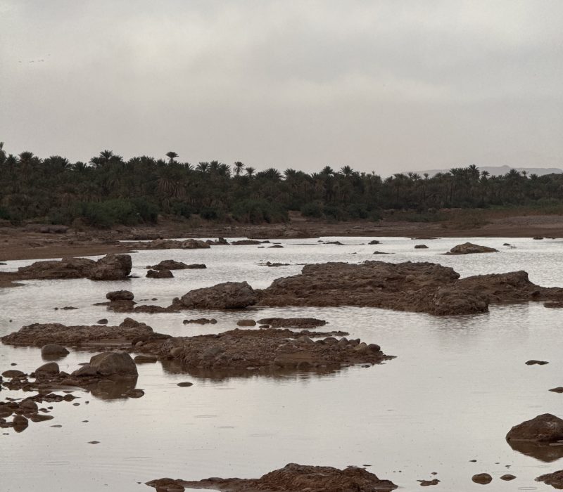 DB052D02-6D52-4E77-9C96-4C1C7283CCFA_1_102_o