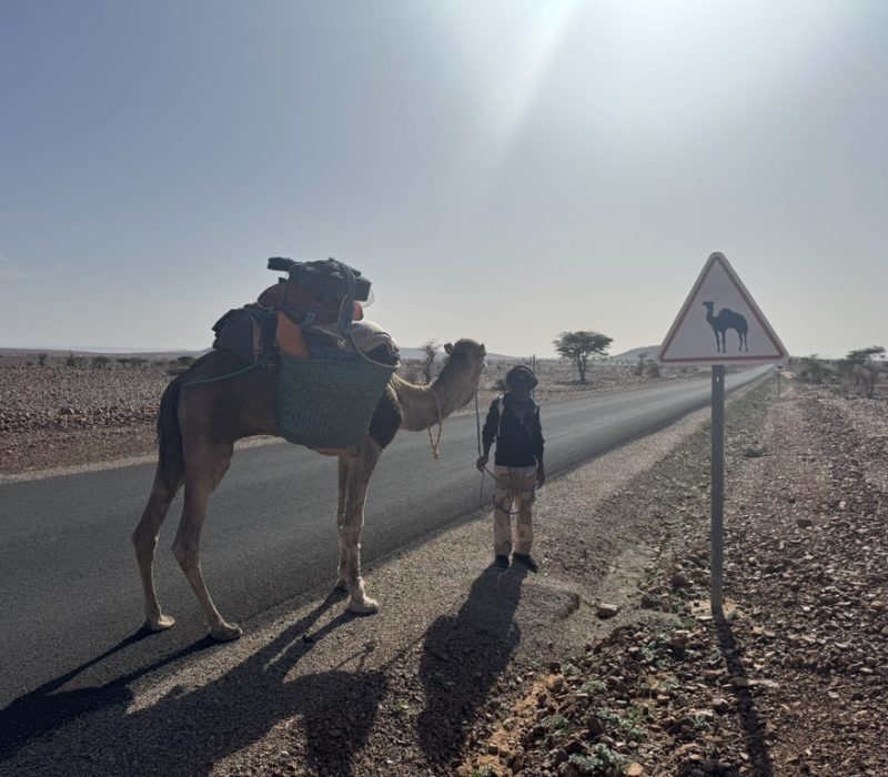 E59C47C1-2FC7-4AD6-9264-ABB7D142A3D8_1_105_c