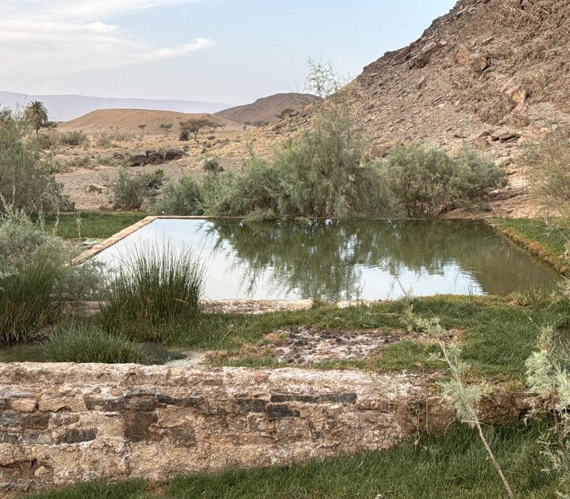 E64902E2-11CD-4129-BCCD-05692F2DE667_1_102_o