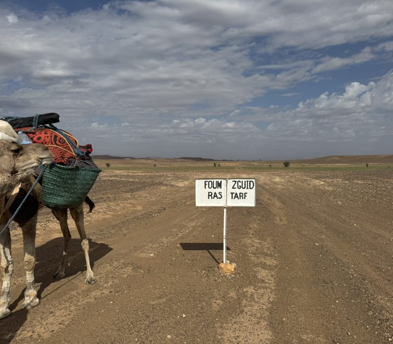 E77F85F6-0F33-4845-A70C-8FF7601A1DF3_1_102_o