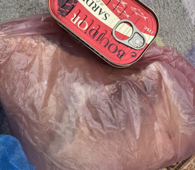 F071E4F8-FF6D-4A24-8A90-CBB7DEF83230_1_105_c