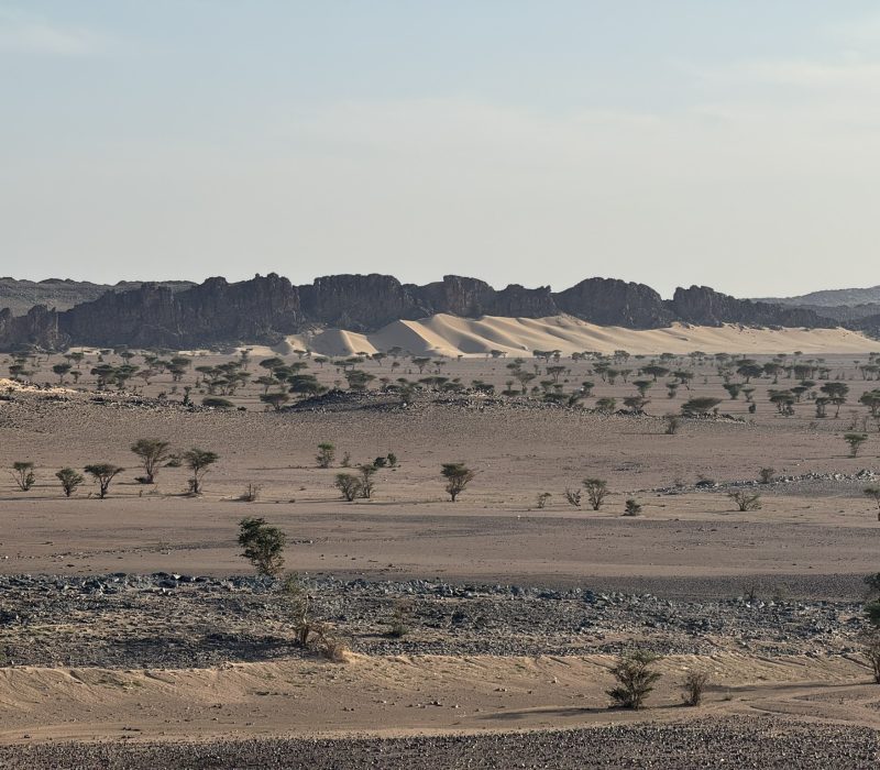 F095D34E-87B6-4C5C-9A9D-D6CCFDA8B24B_1_102_o