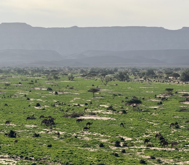 F1EFCC90-EF5C-44B9-8652-6629A5998C98_1_102_o