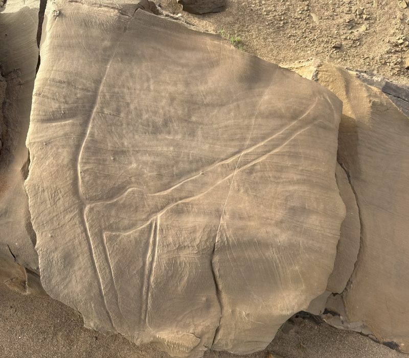 F219E014-CFDB-49DD-AE94-723A2E55333C_1_102_a