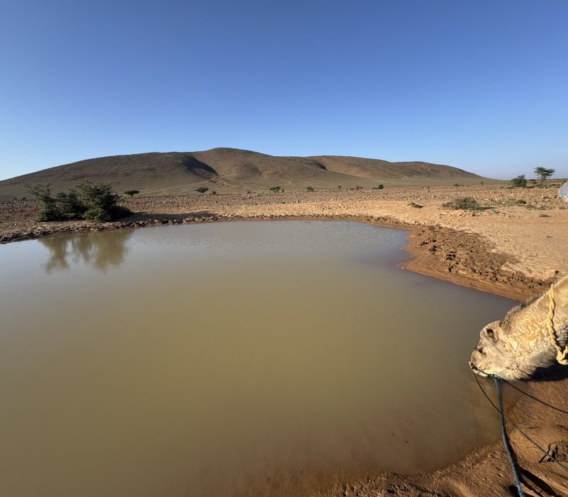 F2498D0C-816A-48E5-BC81-CBA2760366A1_1_102_o