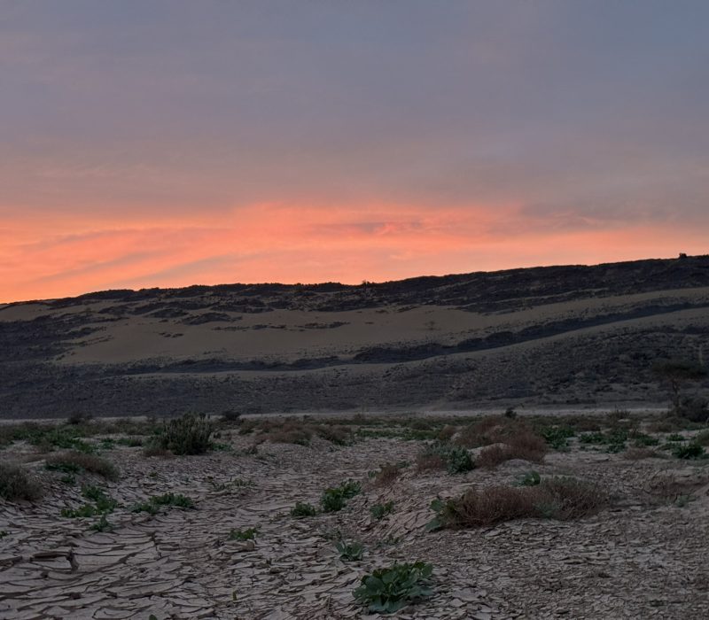 F2E381D9-7886-416B-9D56-A1C1564DE287_1_102_o