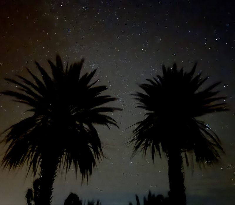 F3A85E80-A1B7-490A-BCE6-BC75F21D83FB_1_102_o