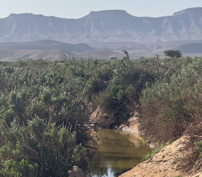 F9512640-73FA-4859-A3A8-9027AB24249E_1_102_o