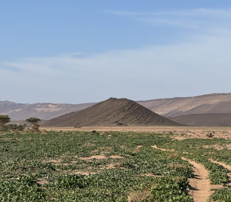 FA618C38-EDD5-4641-A762-B8E10744B7C8_1_102_o