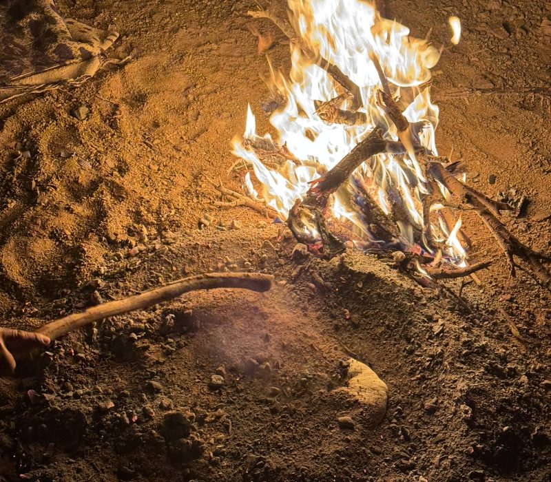 FE0EF092-049F-4FE7-A342-BD985090A474_1_102_o